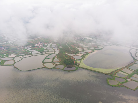 湖北大冶保安湖湿地公园航拍风光