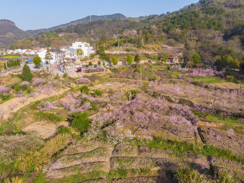 湖北黄石沼山森林公园航拍风光