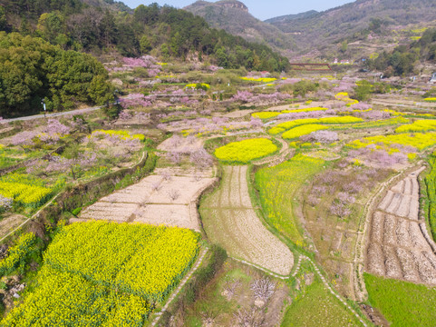 湖北黄石沼山森林公园航拍风光