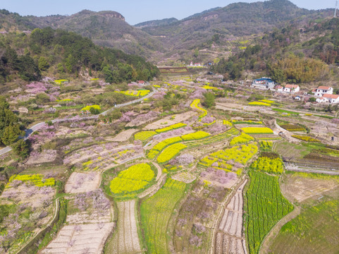 湖北黄石沼山森林公园航拍风光