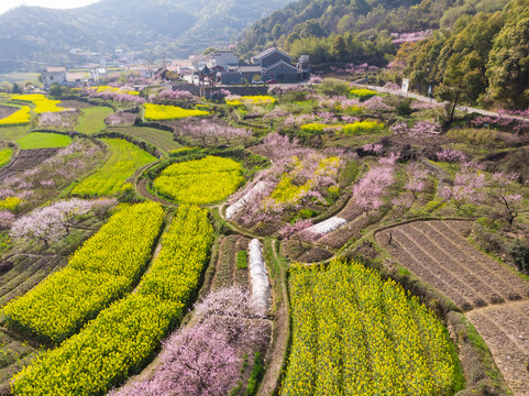 湖北黄石沼山森林公园航拍风光