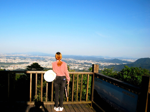 大岭山茶山顶观景台