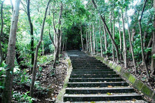 登山阶梯