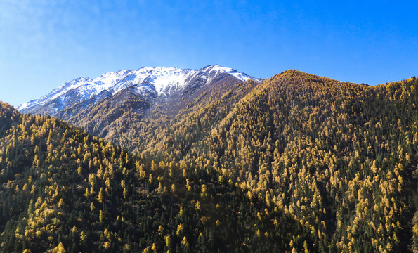 中国四川甘孜四姑娘山