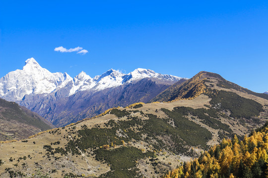 中国四川甘孜四姑娘山