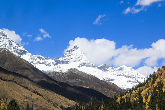 中国四川甘孜四姑娘山