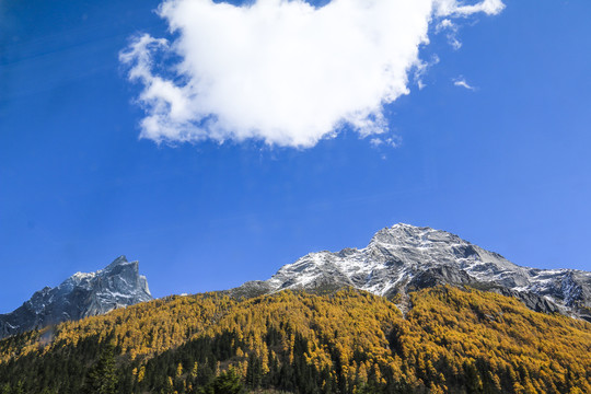 中国四川甘孜四姑娘山