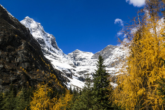 中国四川甘孜四姑娘山双桥沟