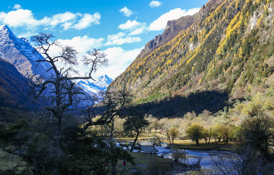 中国四川甘孜四姑娘山双桥沟