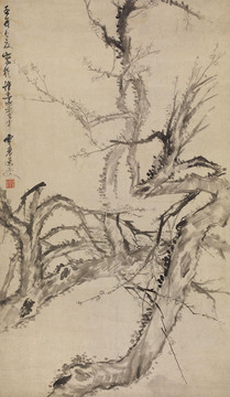 姚綬 老梅圖