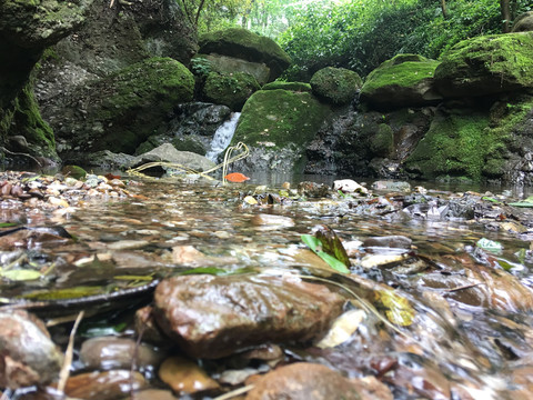 小溪流水摄影图片