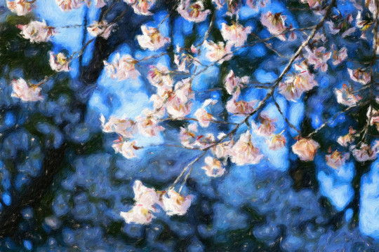 櫻花油畫