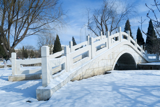 冬季公园雪景