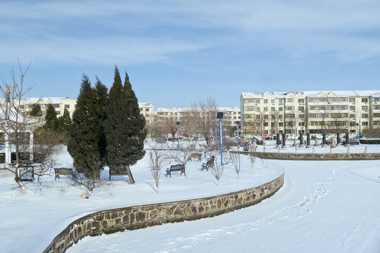 冬季小区雪景