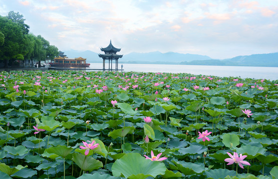 西湖风光