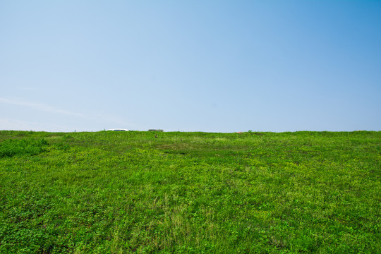 大堤草地