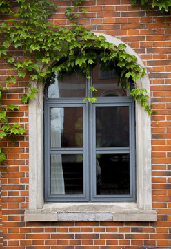 绿植窗户