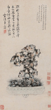 陸治盆石圖