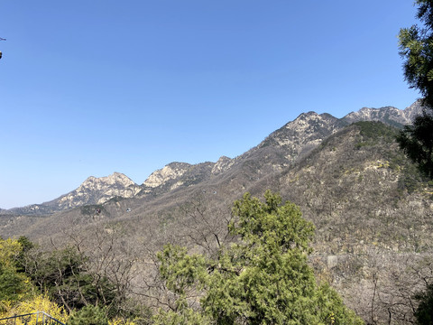 泰山风景