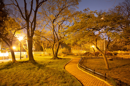 青岛八大关夜景