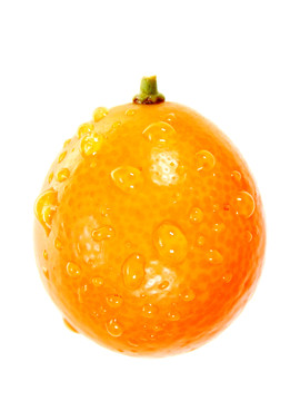 一个小金橘