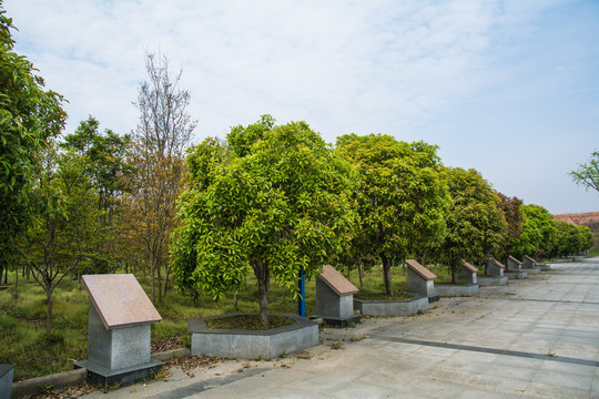 鲁班奖石碑介绍