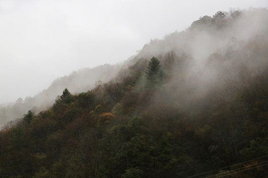 云山雾海