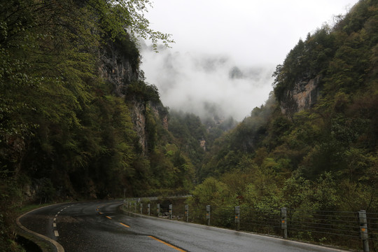 山路弯弯