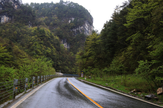 山路弯弯