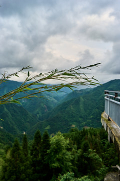 观景台