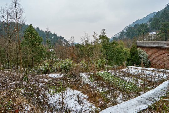 深山雪景