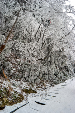 衡山雪景