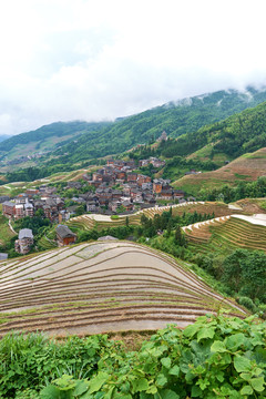 平安寨梯田