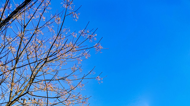 湛蓝的天空