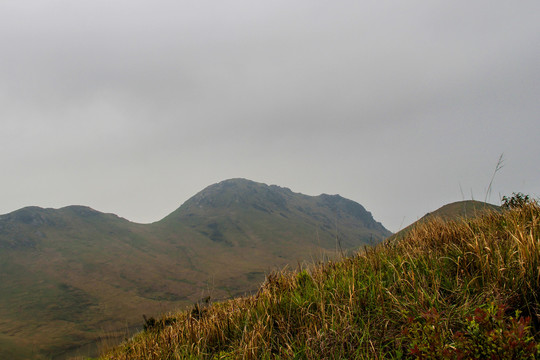 嵛山岛