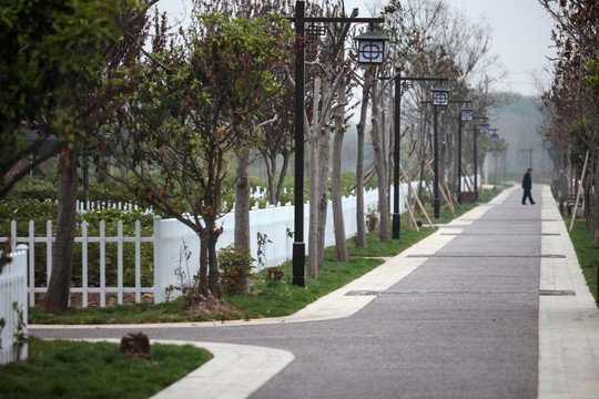 林间小路