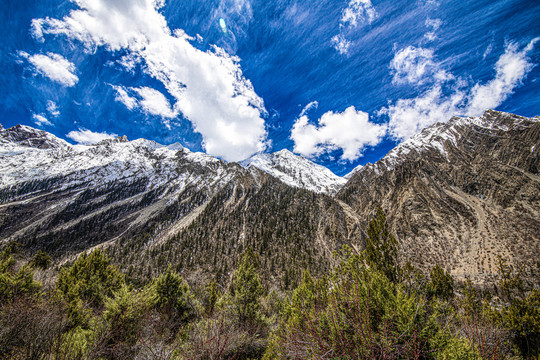 西藏风景