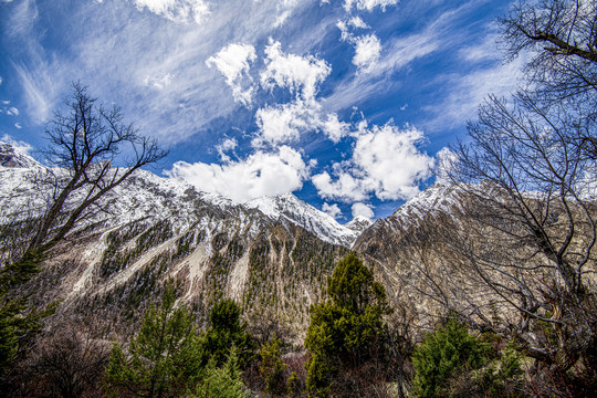 西藏风景