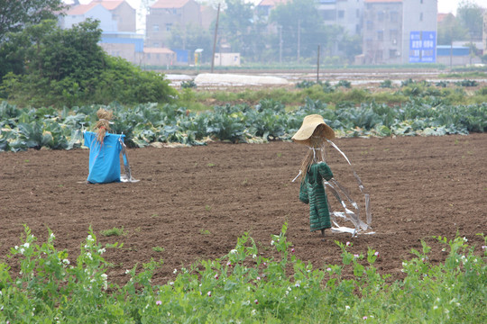 稻草人