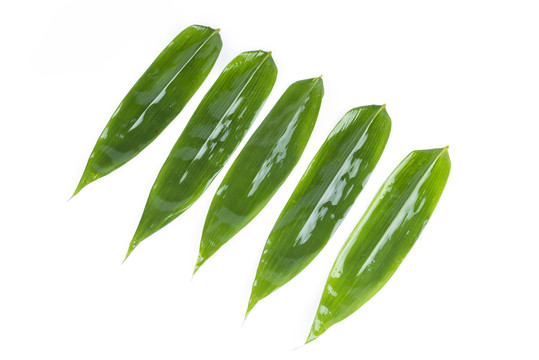 粽子葉大竹葉