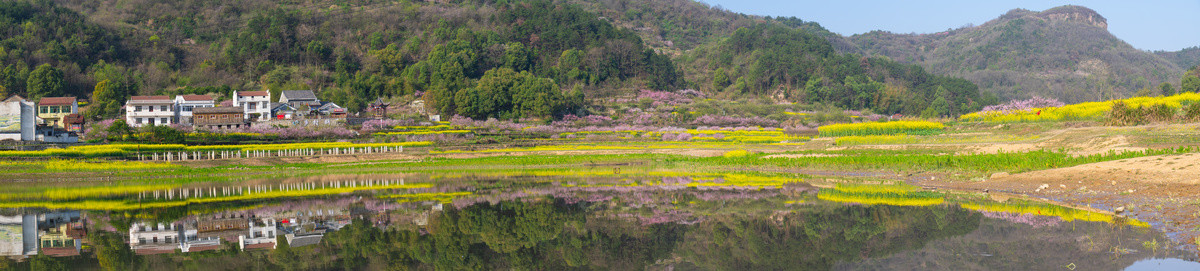 湖北黄石沼山森林公园春季风光