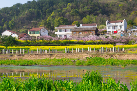 湖北黄石沼山森林公园春季风光