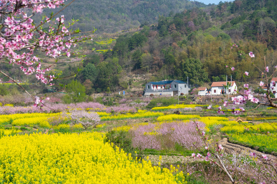 湖北黄石沼山森林公园春季风光