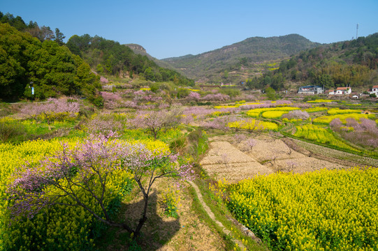 湖北黄石沼山森林公园春季风光