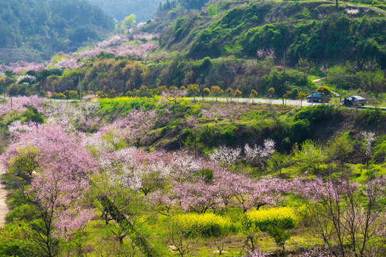 湖北黄石沼山森林公园春季风光