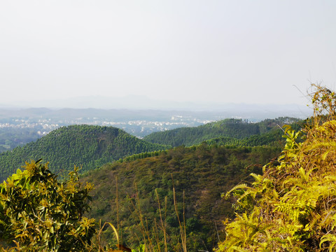 山顶风光