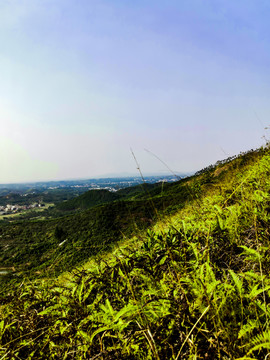 山顶风光