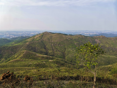 山顶风光