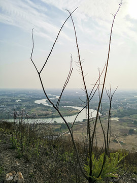 山顶风光