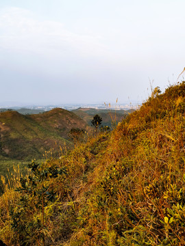 山顶风光